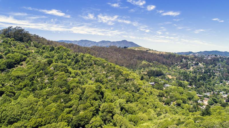 875 Upper Autumn Lane, Mill Valley