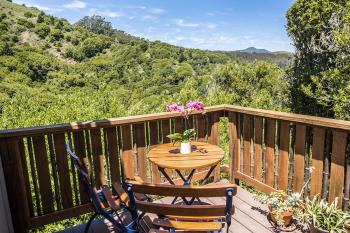 875 Upper Autumn Lane, Mill Valley #18