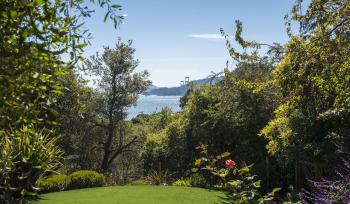 394 Hilary Drive, Tiburon #5