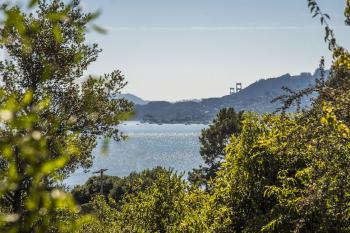 394 Hilary Drive, Tiburon #29