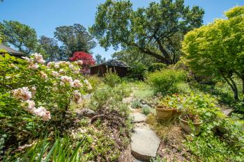 170 Helens Lane, Mill Valley #43