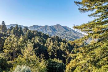 442 Panoramic Highway, Mill Valley #47