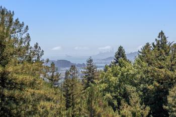 222 Marguerite Avenue, Mill Valley #38