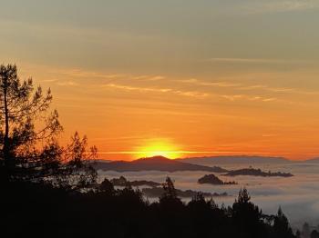 222 Marguerite Avenue, Mill Valley #58