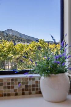 508 Oakdale Avenue, Corte Madera #13
