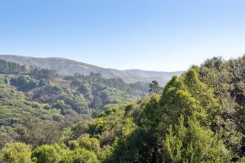 312 Via Recodo, Mill Valley #8