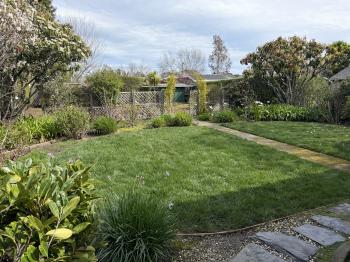 311 Sycamore Avenue, Mill Valley #5