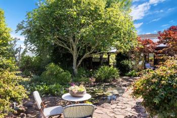 95 Irving Drive, San Anselmo #5