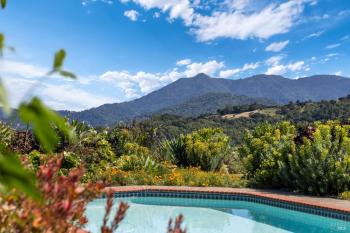95 Irving Drive, San Anselmo #31