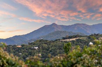 95 Irving Drive, San Anselmo #44