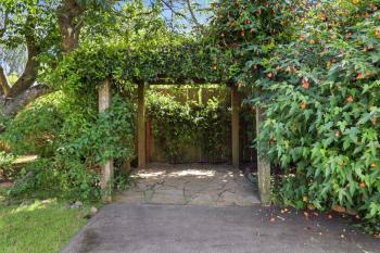 30 Walnut Avenue, Mill Valley #31