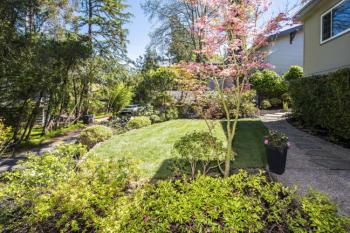 807 Spring Drive, Mill Valley #17